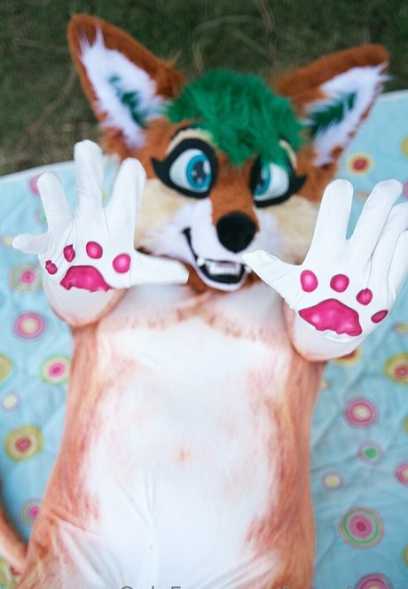 Furry_foxxy