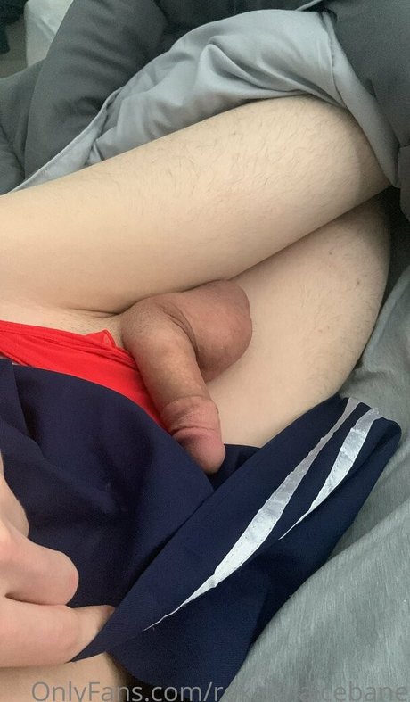 Roxannaicebane
