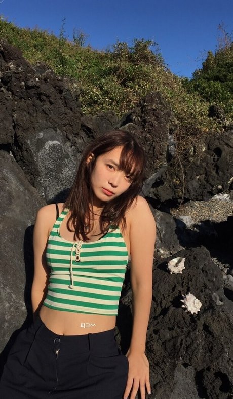 Yunjinpet