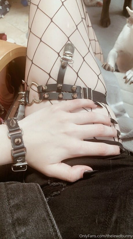 Thelewdbunny