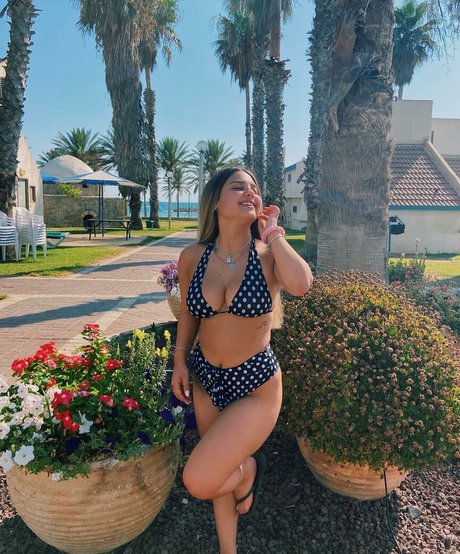 Gal Haitin