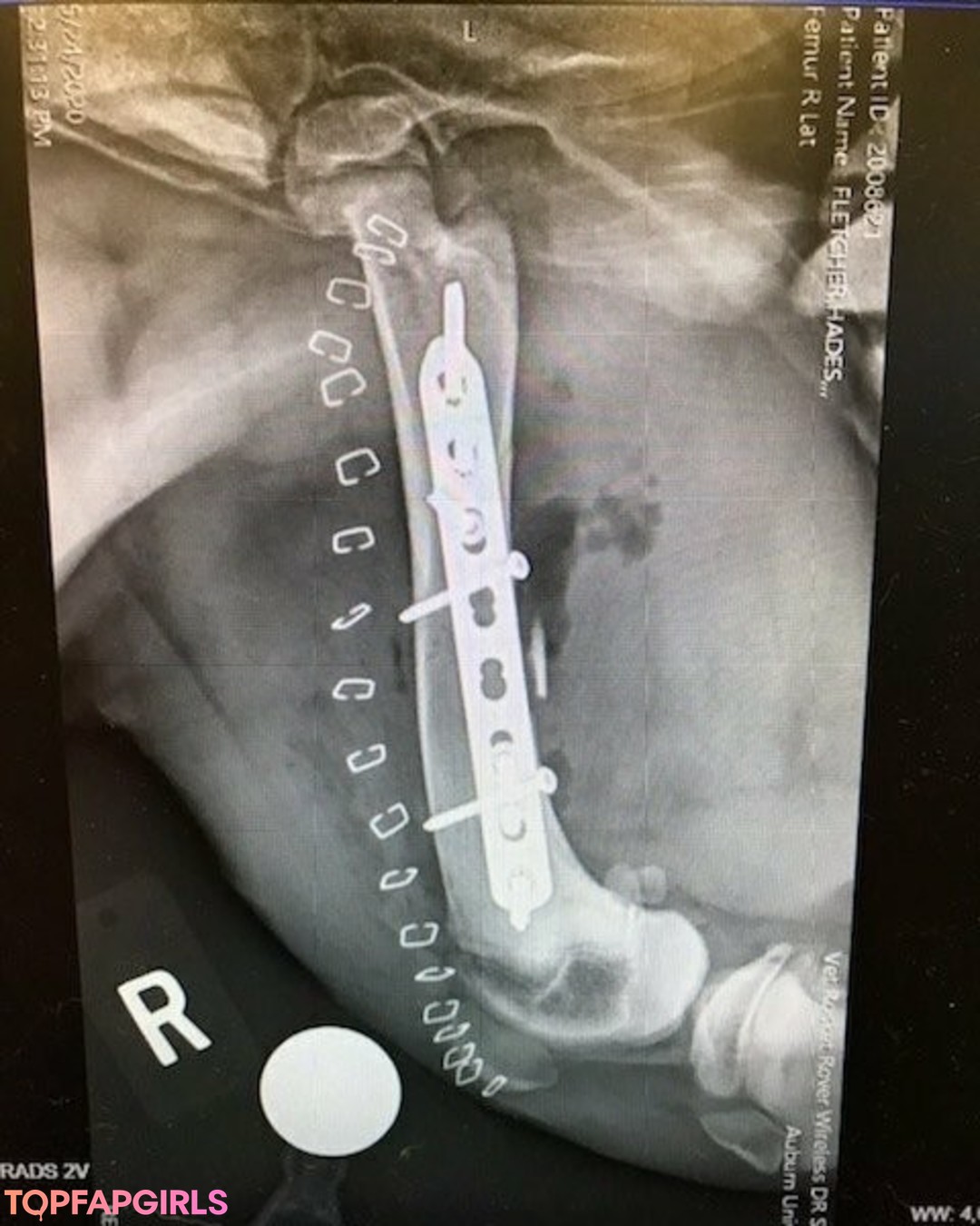 Foto desnuda filtrada de OnlyFans de Thesarahbnkx #142 Foto desnuda filtrada de OnlyFans de Thesarahbnkx #142