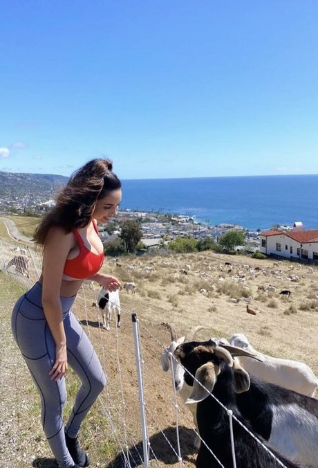 Tara Yazdi