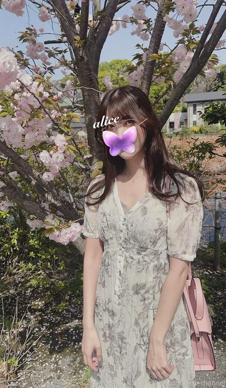 Alice_monthly_fans