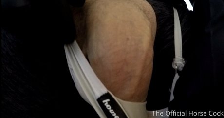 Horse_cock
