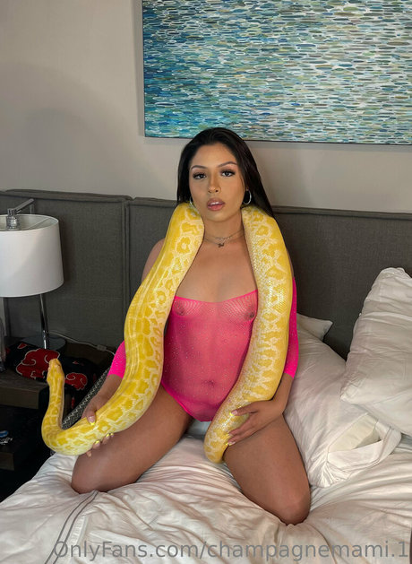 Champagnemami.1