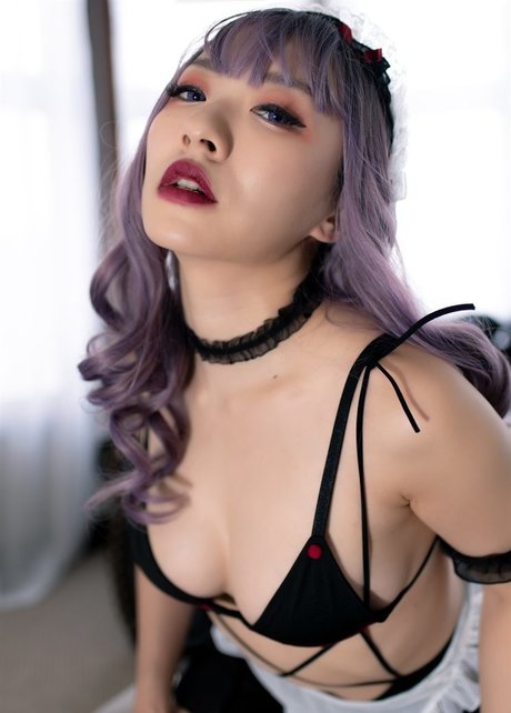 Stellewds