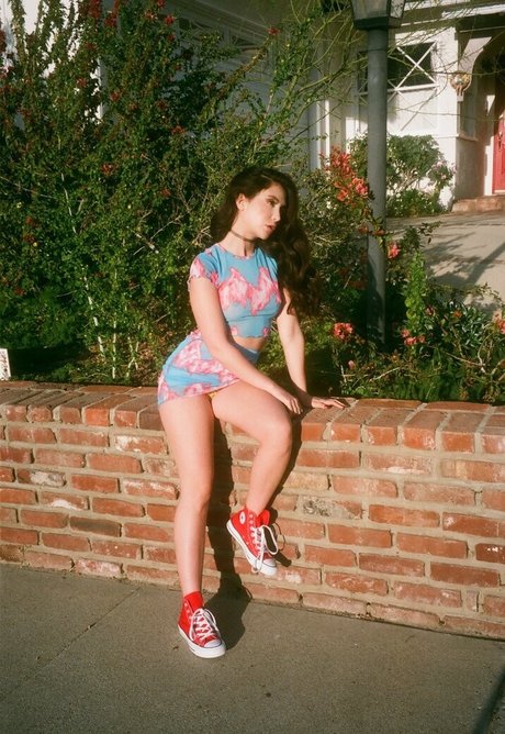 Janewilde