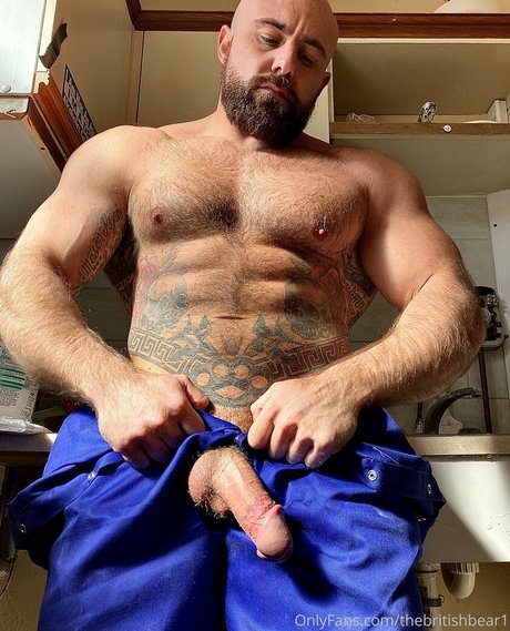 Thebritishbear1