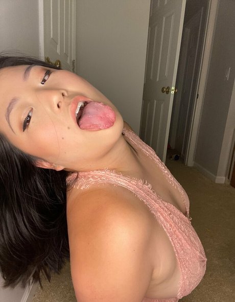 Stellafox