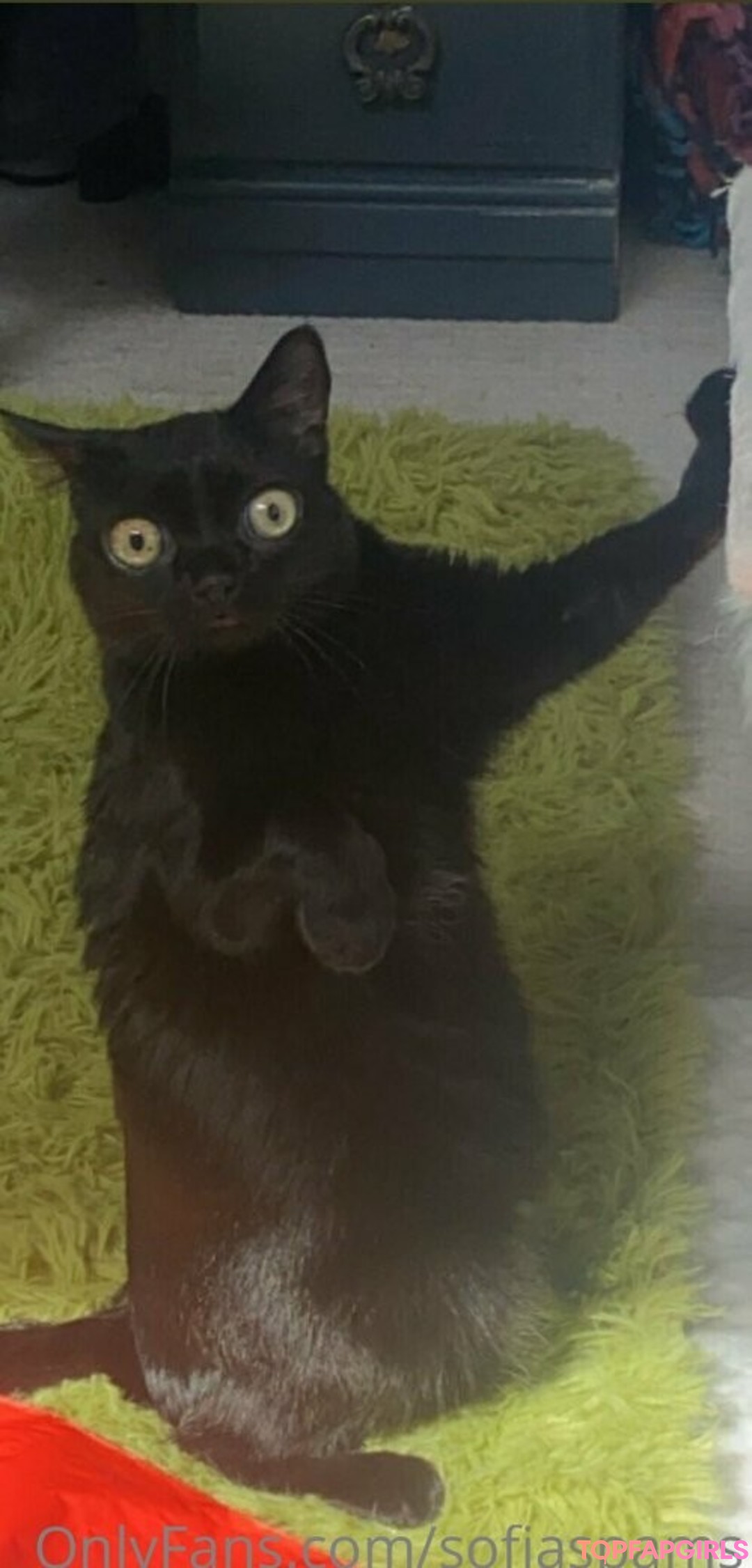 Foto desnuda filtrada de OnlyFans de Sofia Porzio #122 Foto desnuda filtrada de OnlyFans de Sofia Porzio #122