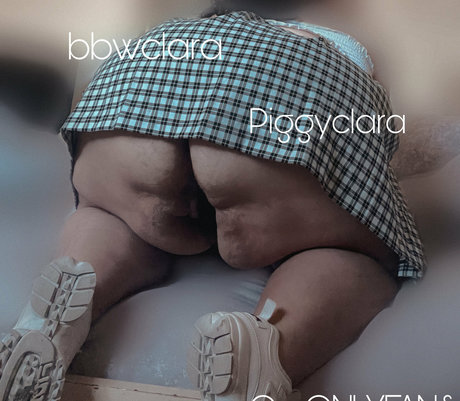 Piggyclara