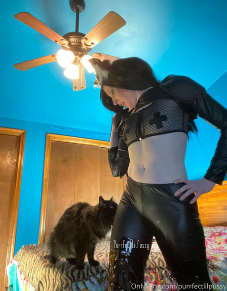 Purrfectlilpussy