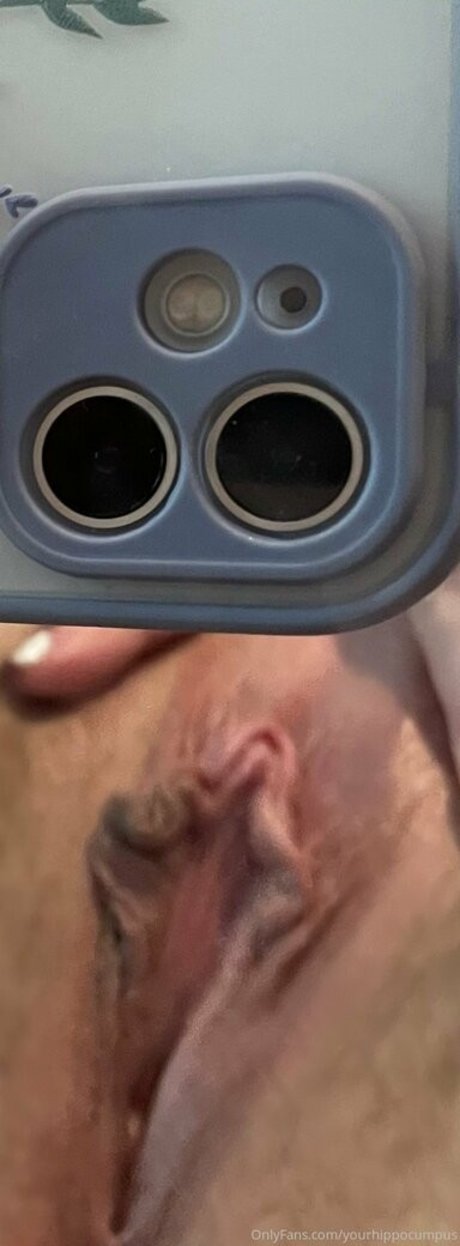 Yourhippocumpus