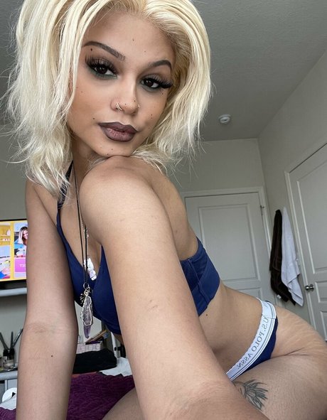 Kittysprive