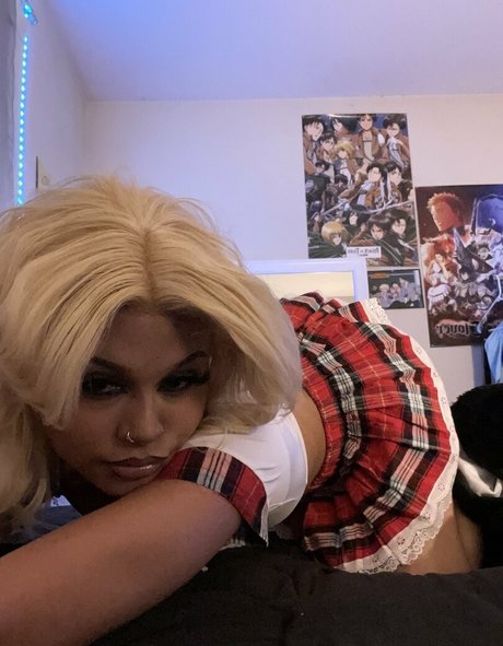 Kittysprive