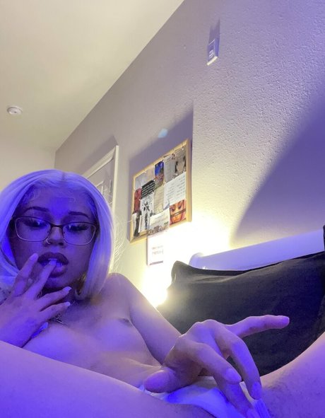 Kittysprive
