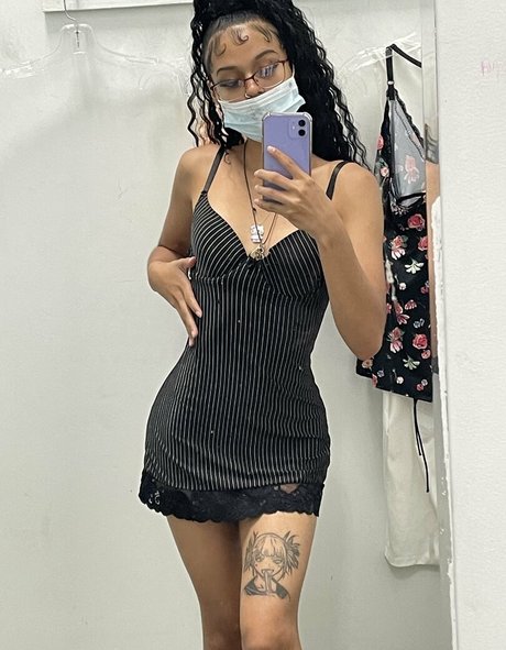 Kittysprive