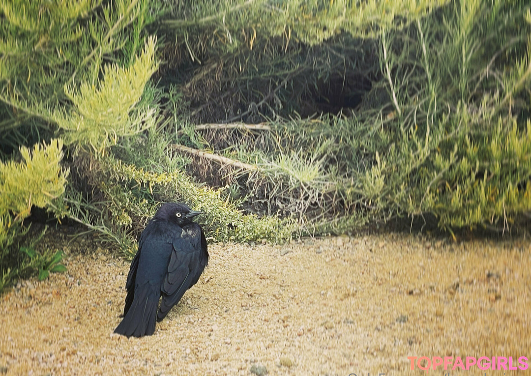 Foto desnuda filtrada de OnlyFans de Leanalovings #499 Foto desnuda filtrada de OnlyFans de Leanalovings #499