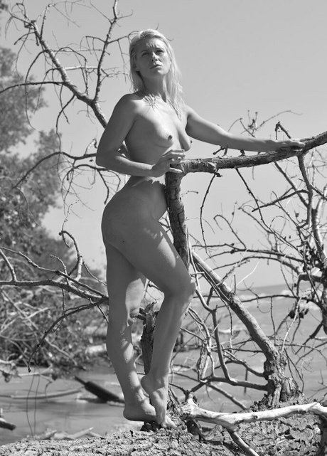 Summer_reid
