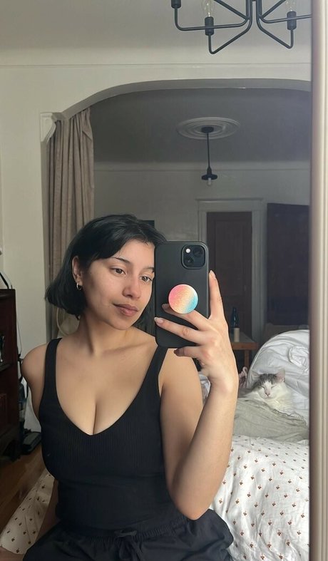 Vymysela