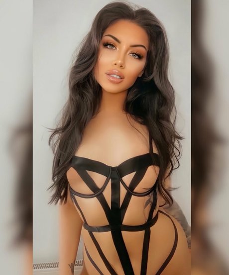 Beccililyx