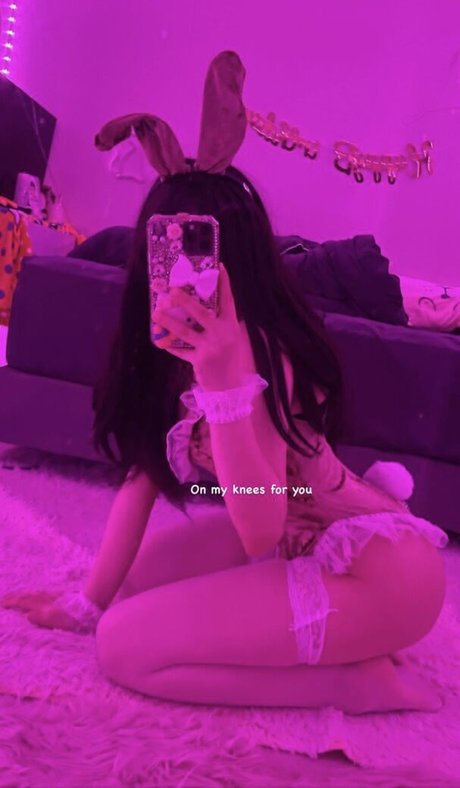 Wptlrkapdl