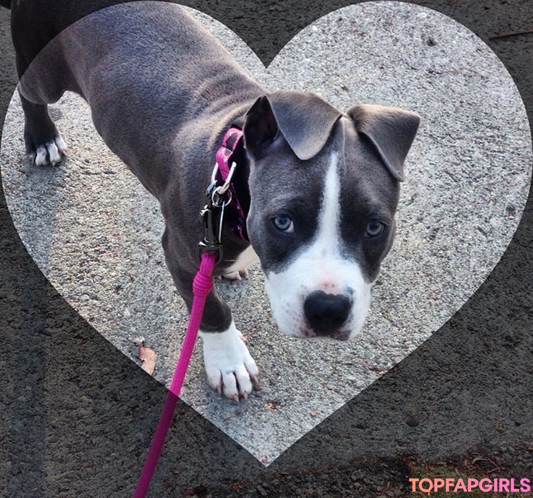 Foto desnuda filtrada de OnlyFans de Jenna Ashley #37 Foto desnuda filtrada de OnlyFans de Jenna Ashley #37