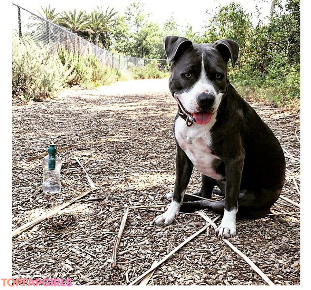 Foto desnuda filtrada de OnlyFans de Jenna Ashley #72 Foto desnuda filtrada de OnlyFans de Jenna Ashley #72