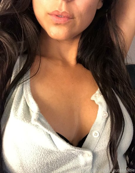 Cerissa
