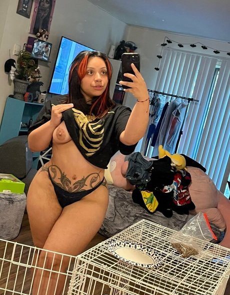 Nixlynka