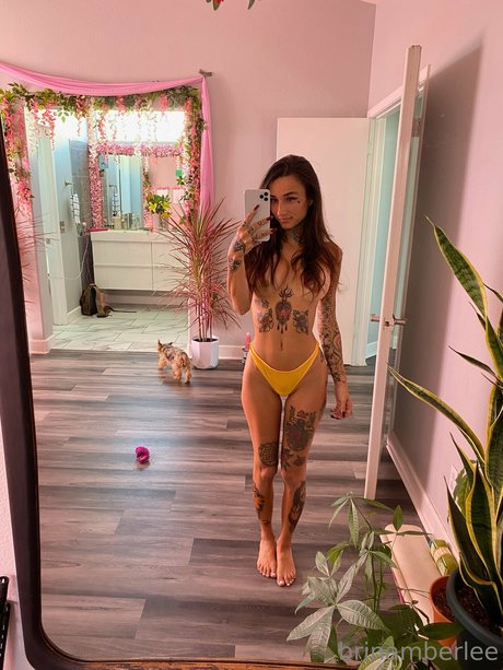Brin Amberlee