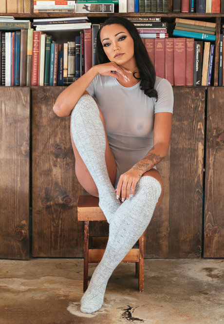 Harley Dean