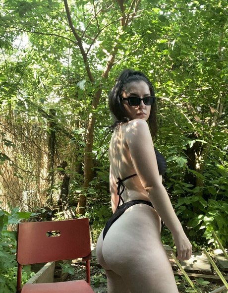 Magdajtaylor