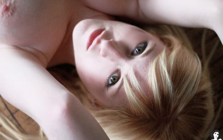 Alysondacher