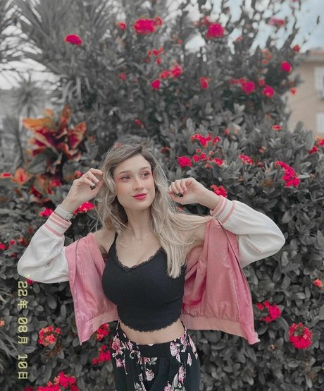 Marynikky