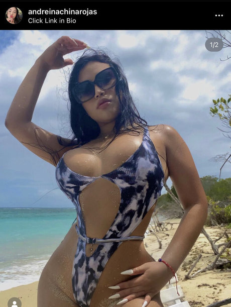 Andreinachinarojas