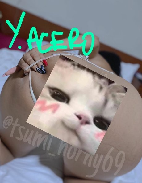 Tsumi69