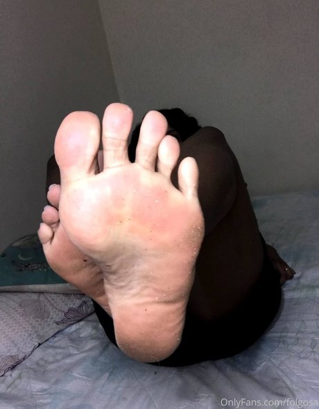 Folgosa
