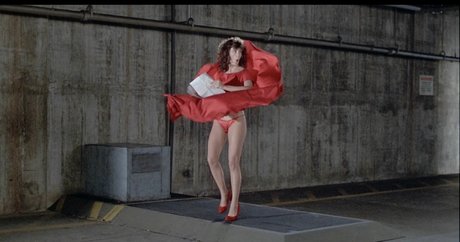 Kelly Lebrock
