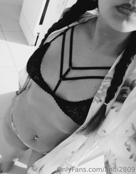 Laveci28