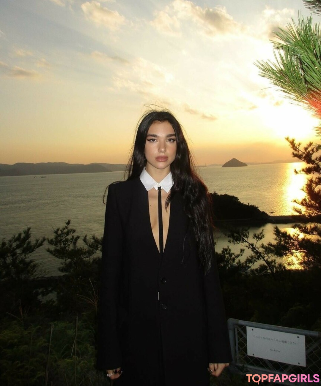 Foto desnuda filtrada de OnlyFans de Dua Lipa #1450