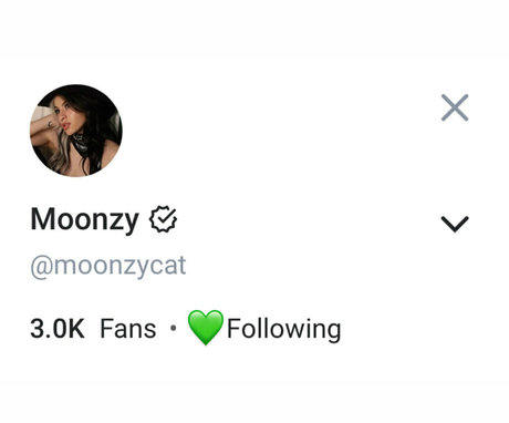 Moonzycat