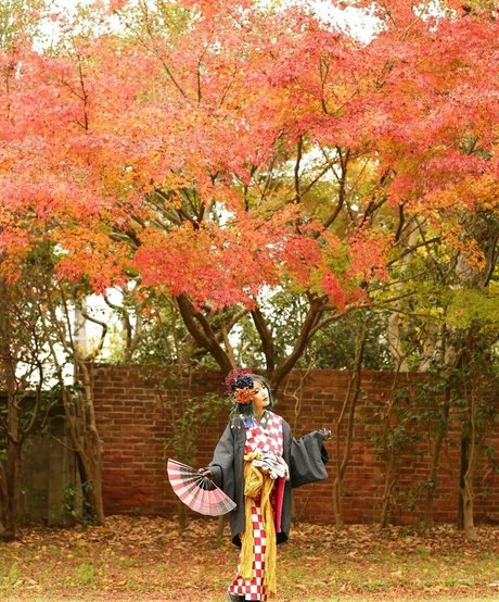 Kaho Shibuya