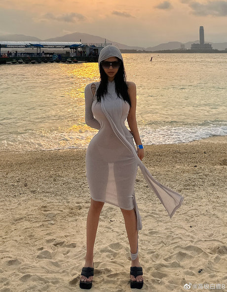 Deer_white