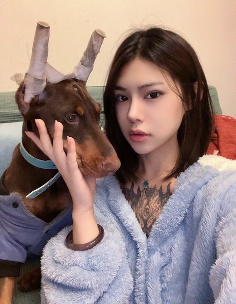 Deer_white