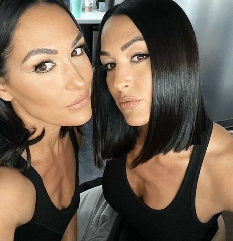 The Bella Twins: