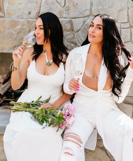 The Bella Twins: