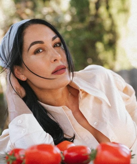 The Bella Twins: