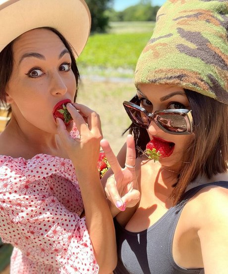 The Bella Twins: